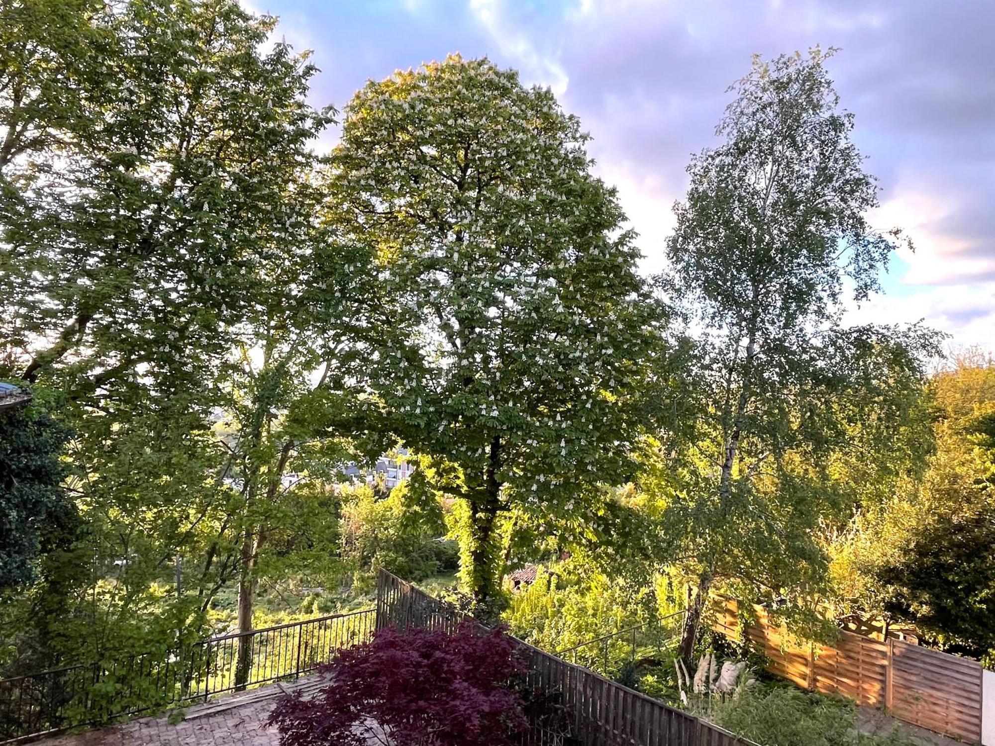 Sara Home Chennevières-sur-Marne Екстериор снимка